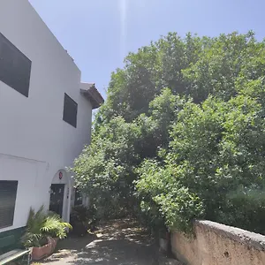 La Casa Del Almacigo Arona (Tenerife)